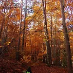 Bed & Breakfast Le Vallon D'Armandine, Eco-Hebergement Auvergne