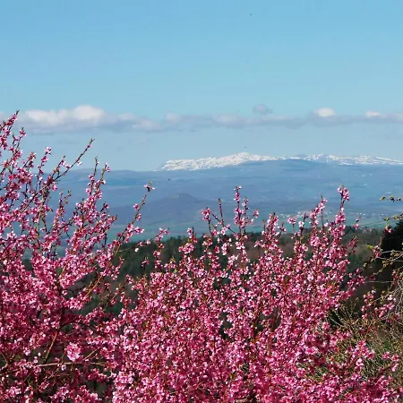 Le Vallon D'armandine, Eco-hebergement Auvergne Alojamento de Acomodação e Pequeno-almoço 3*
