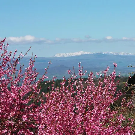 Le Vallon D'armandine, écologique Auvergne Couette-café *