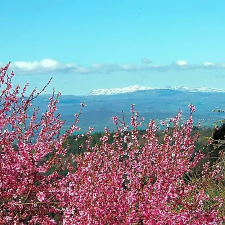 Le Vallon D'armandine, Eco-hebergement Auvergne 3*