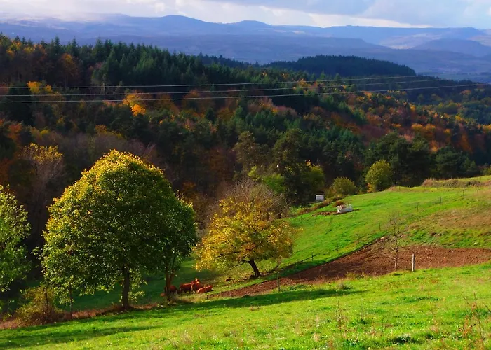 Le Vallon D'Armandine, Eco-Hebergement Auvergne Saint-Hilaire (Haute-Loire)
