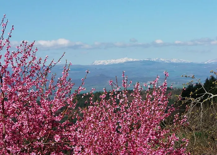 Le Vallon D'Armandine, Eco-Hebergement Auvergne Bed & Breakfast 3*